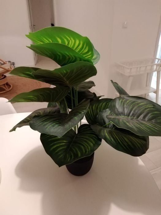 Planta de plástico do ikea em optimo estado