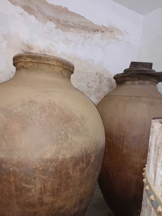 Adega antiga desativada