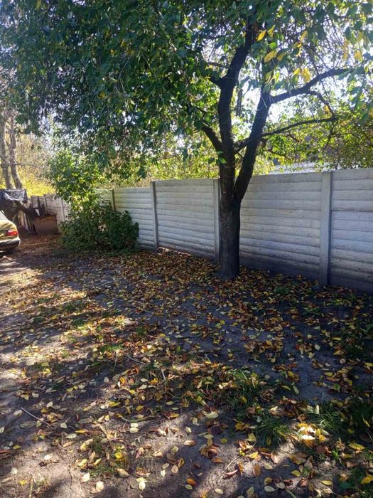 Продається будинок в с .Бистрик , що біля селища Ружин