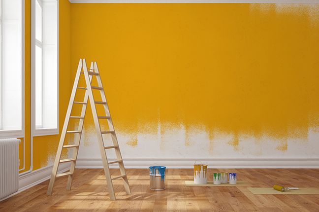 pintor impermeabilizações lacagens cozinhas ou portas
