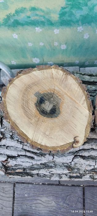 Слеб Сруб Срез Дерева горіх