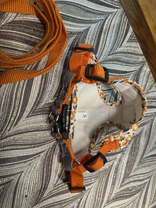 Nowy zestaw dla malego psa smycz szelki s/xs