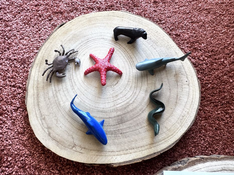 Animais do fundo do Mar - Montessori