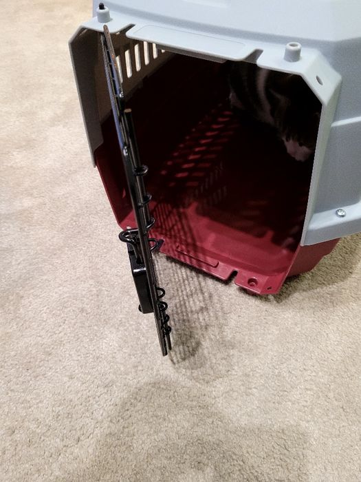 Transportadora animais