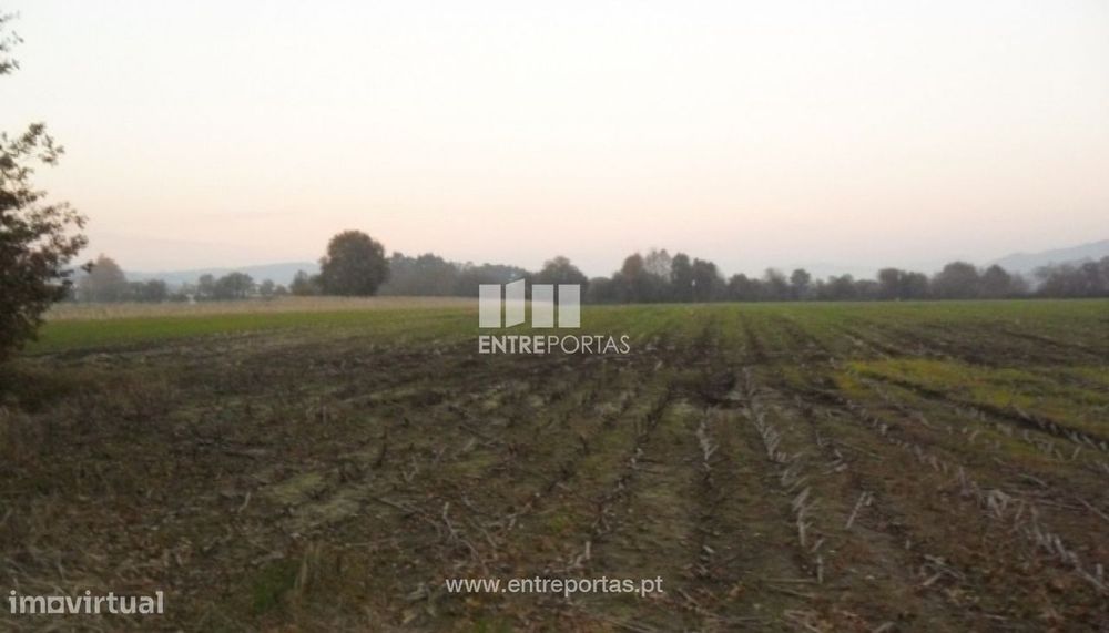 Terreno Agrícola - Lanheses