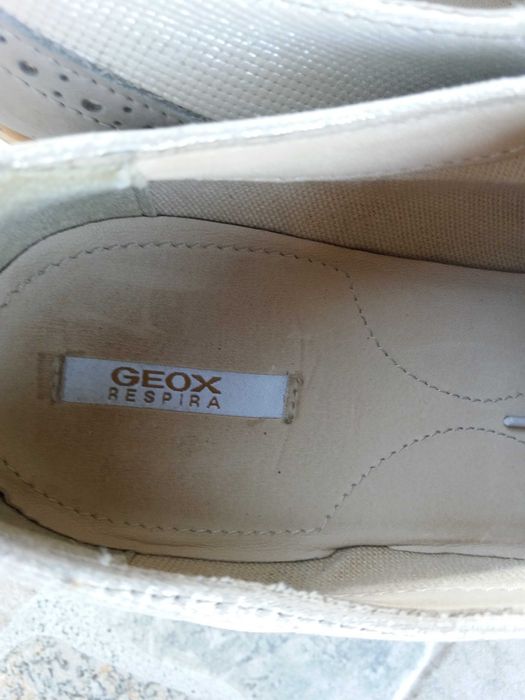 oksfordy geox 37