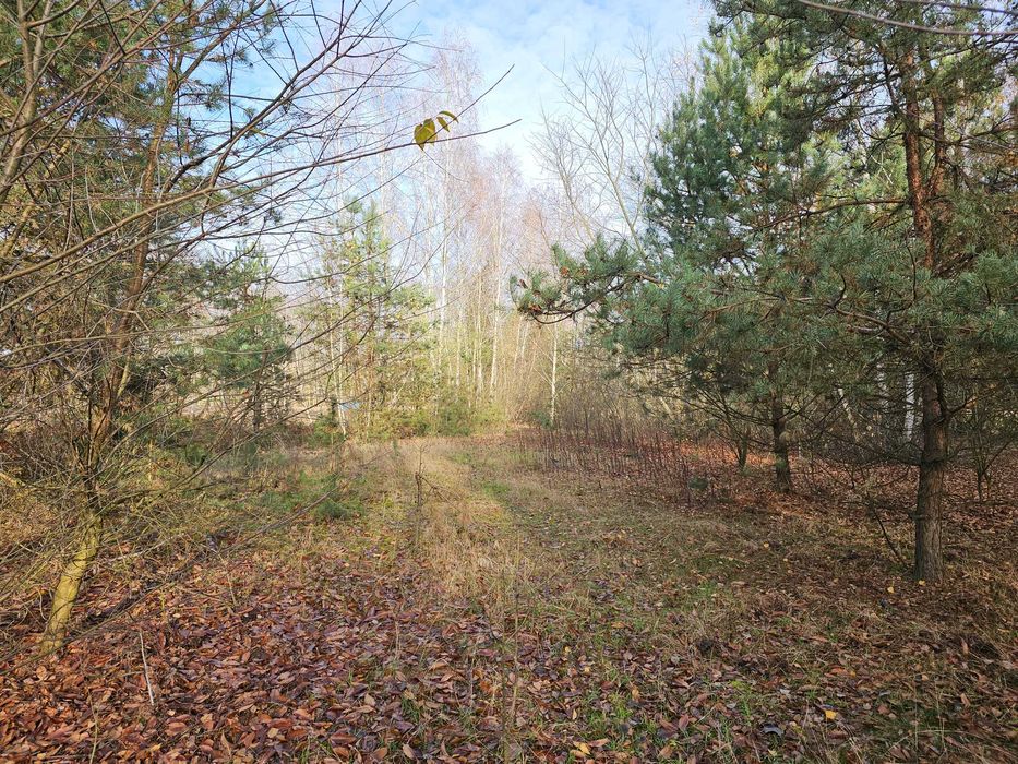 sprzedam działkę rolną