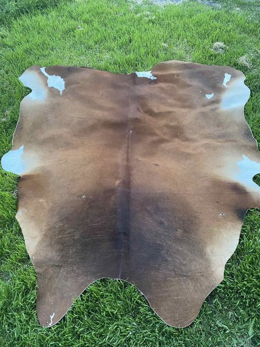 Продам Шкіра корови