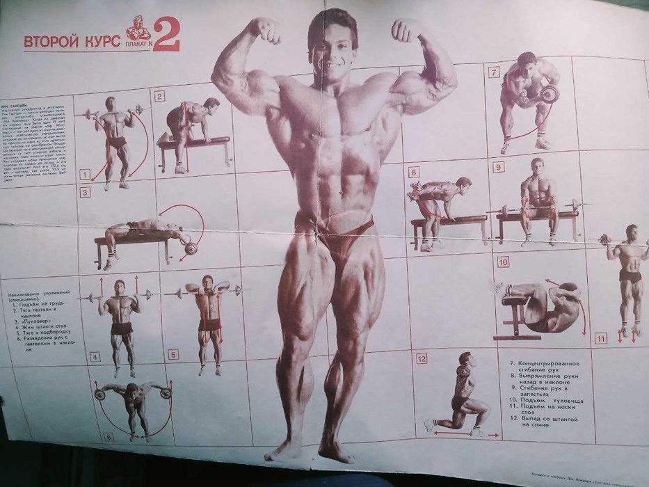 Дж. Вейдер Система строительства тела