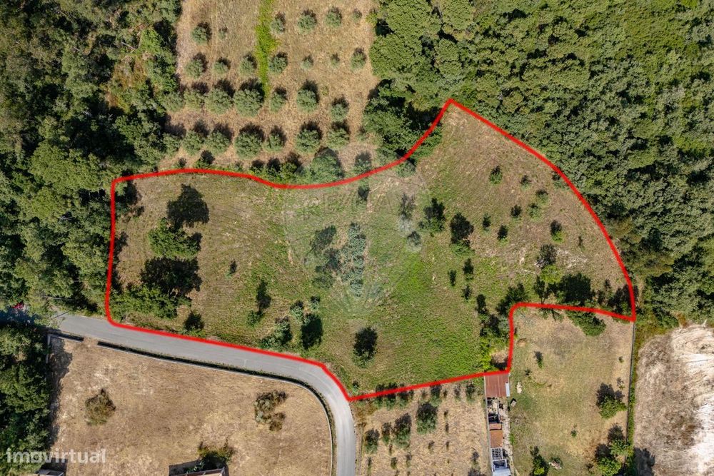Terreno  para venda — Soure, Coimbra