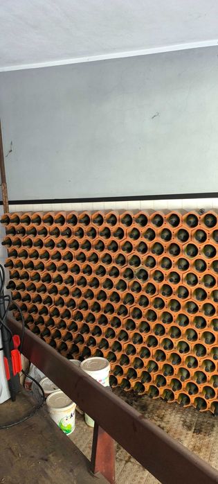 Garrafeira colmeia 500 Garrafas de litro vazias com vedante