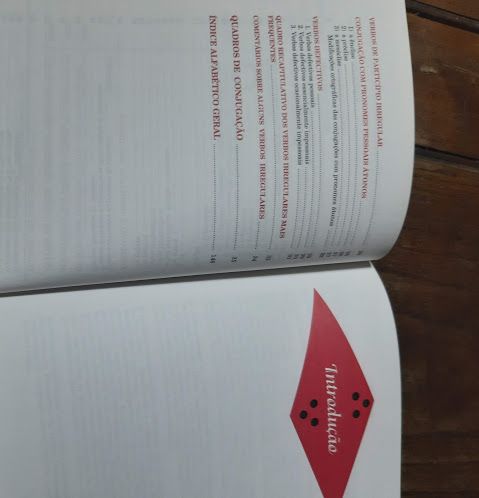 Dicionário de verbos portugueses