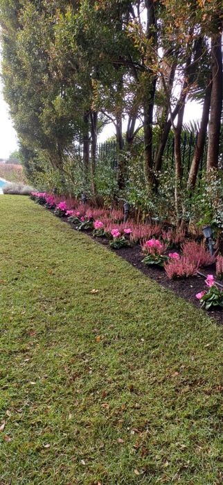 Jardins Costa | Jardinagem e paisagismo