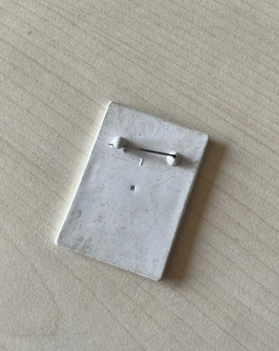 Przypinka Zamość ZOO z tygrysem / tygrys / pamiątka / suwenir