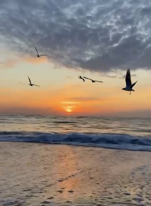 Сдам(аренда)дом у моря Одесса/Фонтанка пляж Яхта первая линияПосуточно