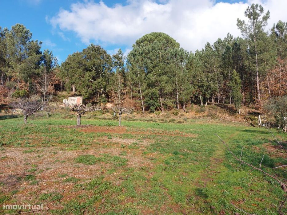 Terreno em Côja para construção