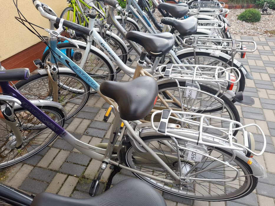 Rowery damskie, męskie, Gazelle, Batavus, Sparta, Sensa, Coga. Świdwin