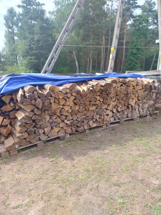 Drzewo olszyna suche sezonowane