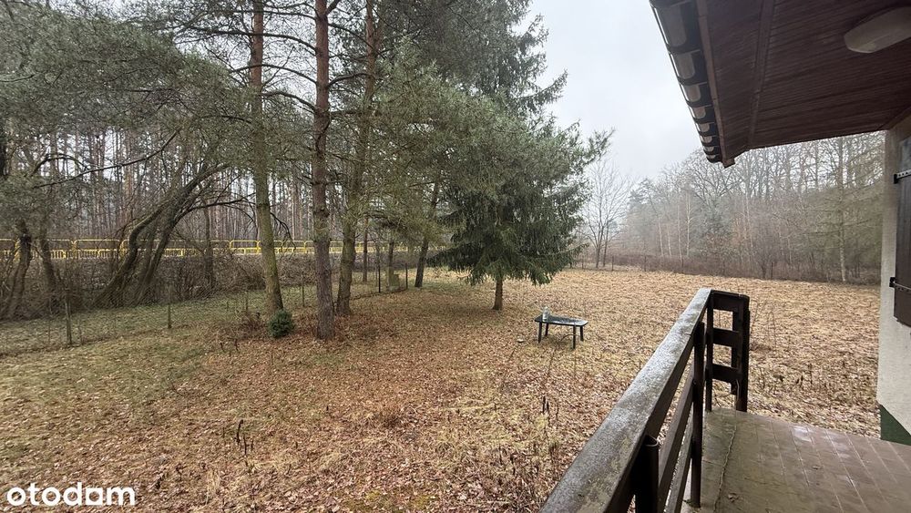 Dom – Kosewko, powiat nowodworski - Widok 3