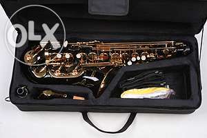 Saxofone alto preto e dourado.