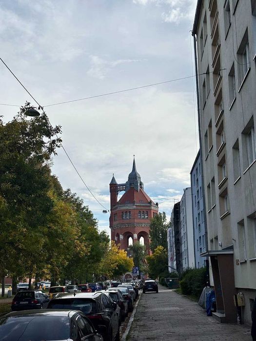 Zdjęcie 7