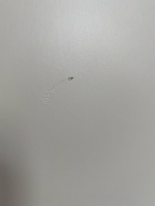 Drzwi flisberget szafa pax jasnobezowy gałka komplement ikea