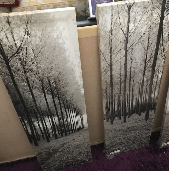 Quadro tela impressao