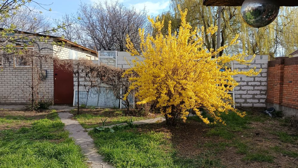 Продам дом с  бизнесом  /Фрунзенский/ Донецкое шосе
