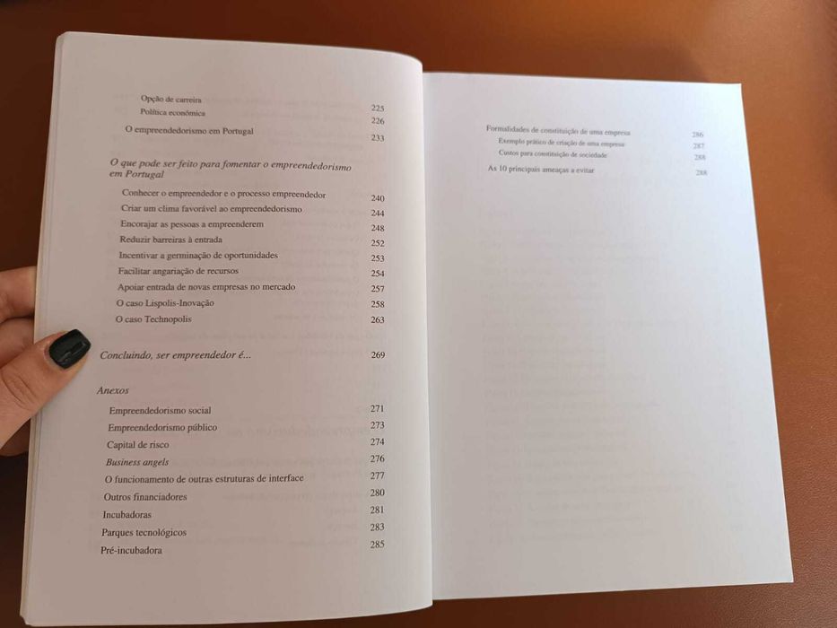 O processo Empreendedor e a Criação de Empresas de Sucesso