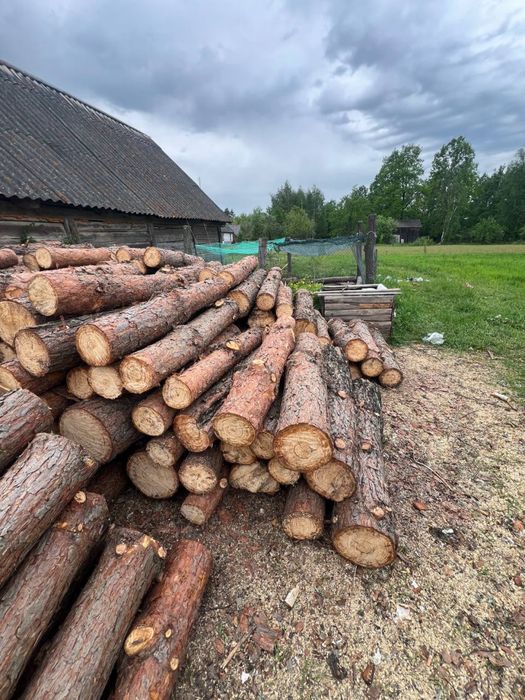 Сухі дрова - Київ та область