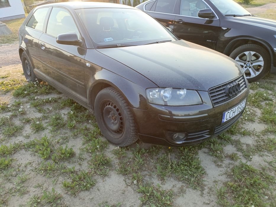 Audi a3 8p bkc 1.9tdi