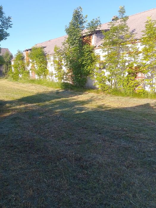 Siedlisko we wsi Krasówka