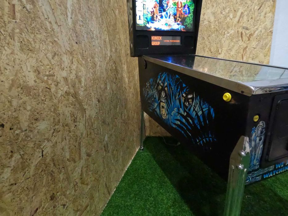 Aluguer / Exploração de maquinas de diversão