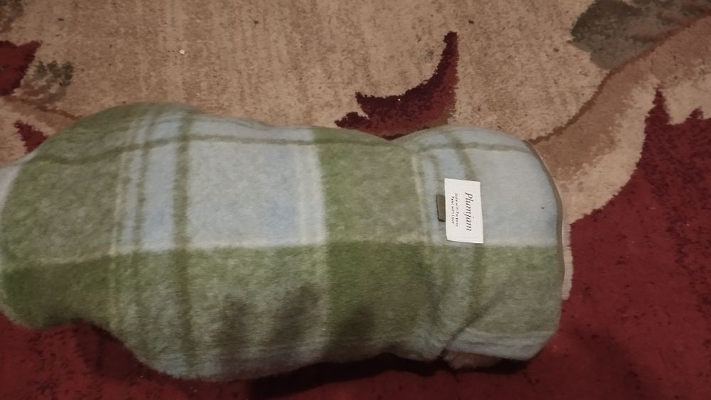 Продам одяг для тварин