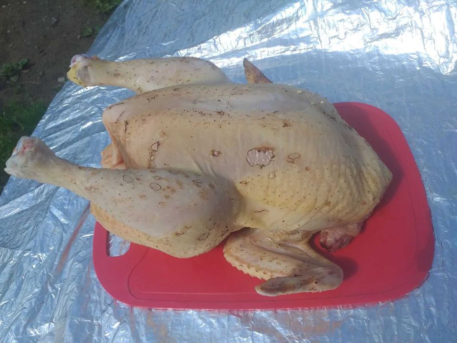 Домашні кури бройлери (тушки)