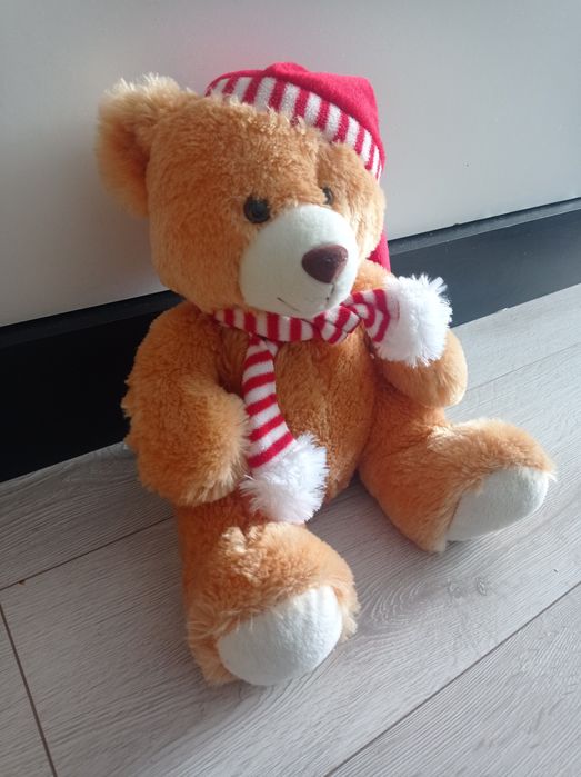 Słodki miś pluszak