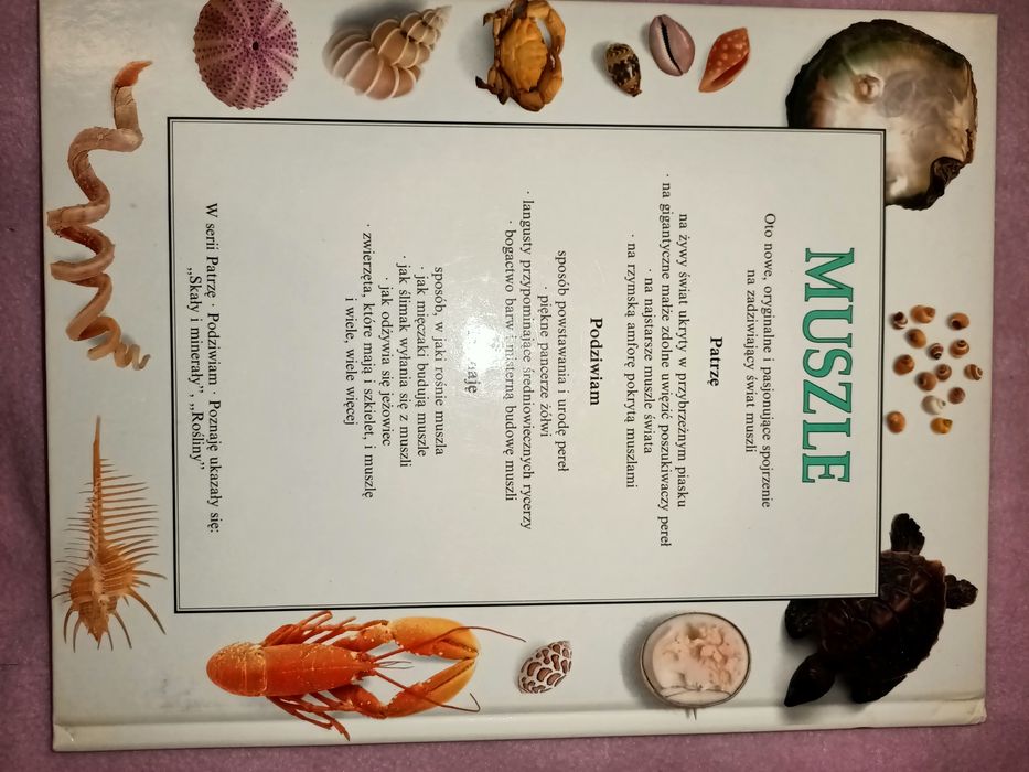 Muszle Patrzę Podziwiam Poznaję