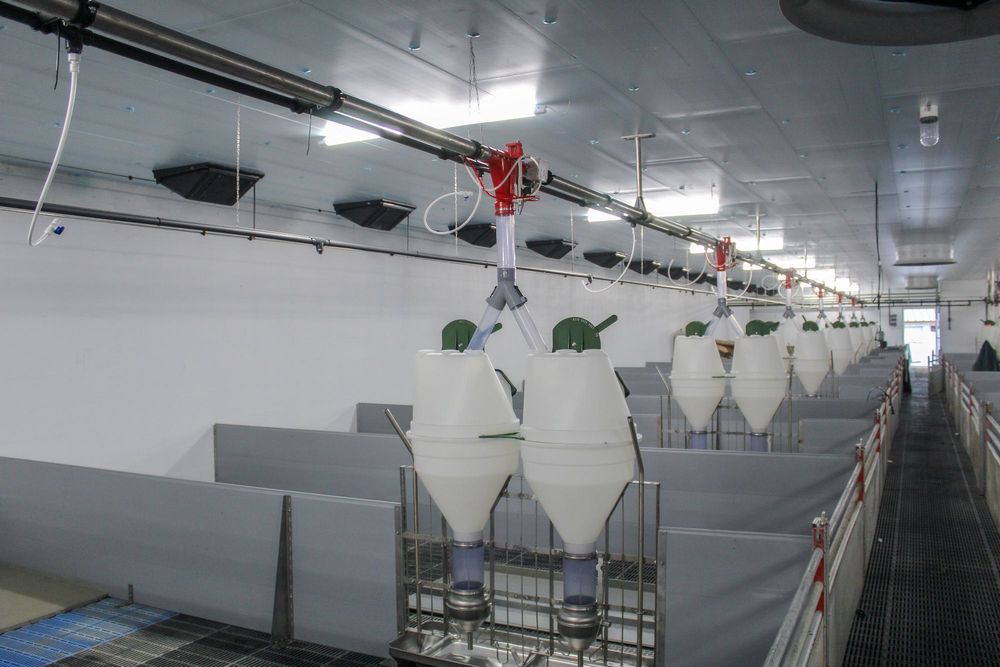 Błękitne Płyty Panele Thermo Izolacyjne XPS AGRO Zmywalna Podsufitka