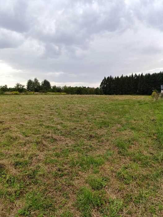 Działki budowlane  z mediami - spokojna okolica  Piła Kościelecka