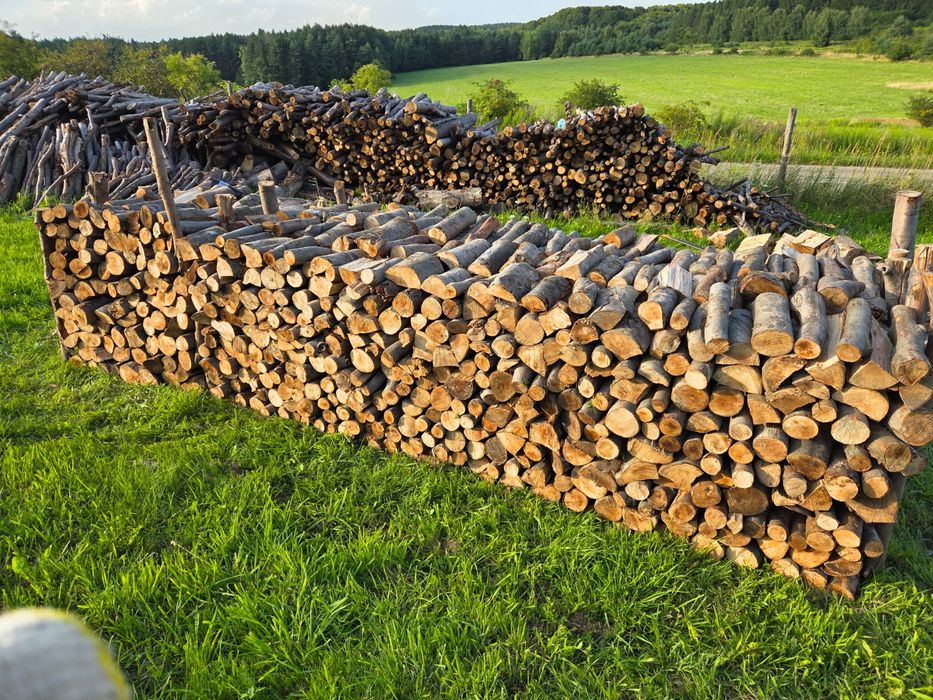 Drzewo kominkowe (Buk)