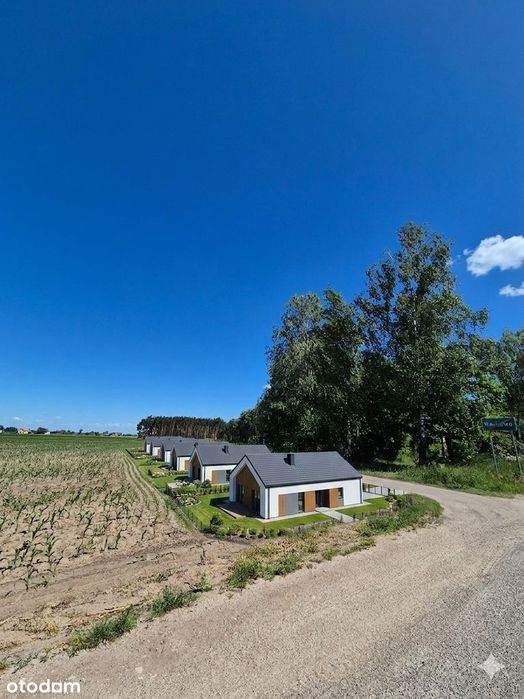 Greenfield dla Inwestora na obrzeżach Nowego Folwarku - Widok 4