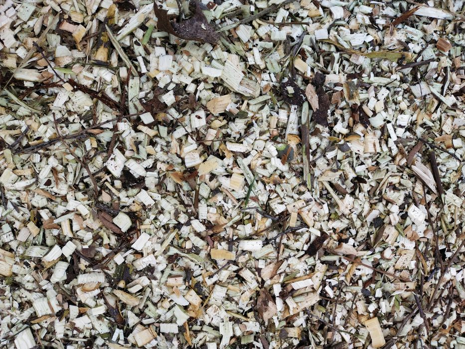 Zrębka drzewna opal / ściółka / kora