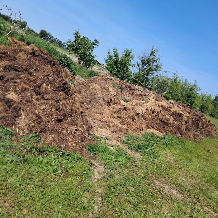 Kompost, obornik świeży za 100zł