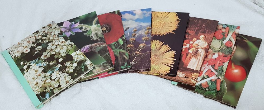 Enciclopédia sobre Plantas