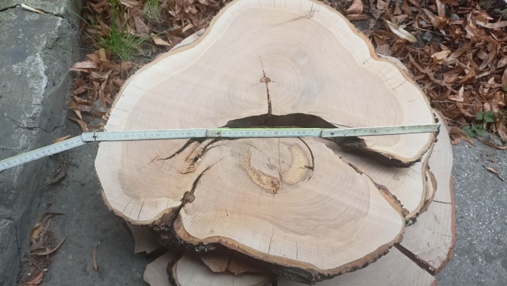 Plastry drzewa suszone i strugane