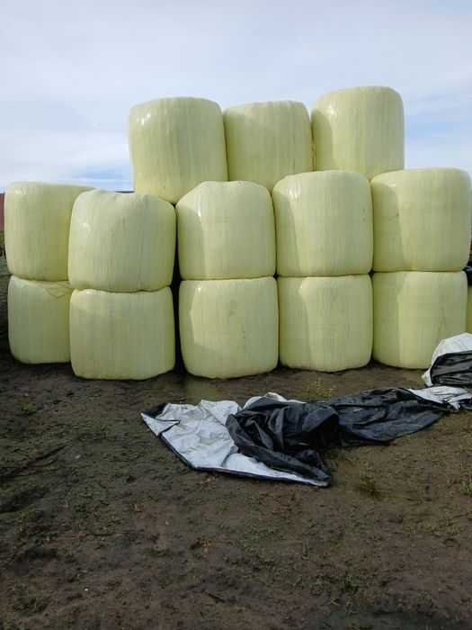 Sprzedam baloty sianokiszonka