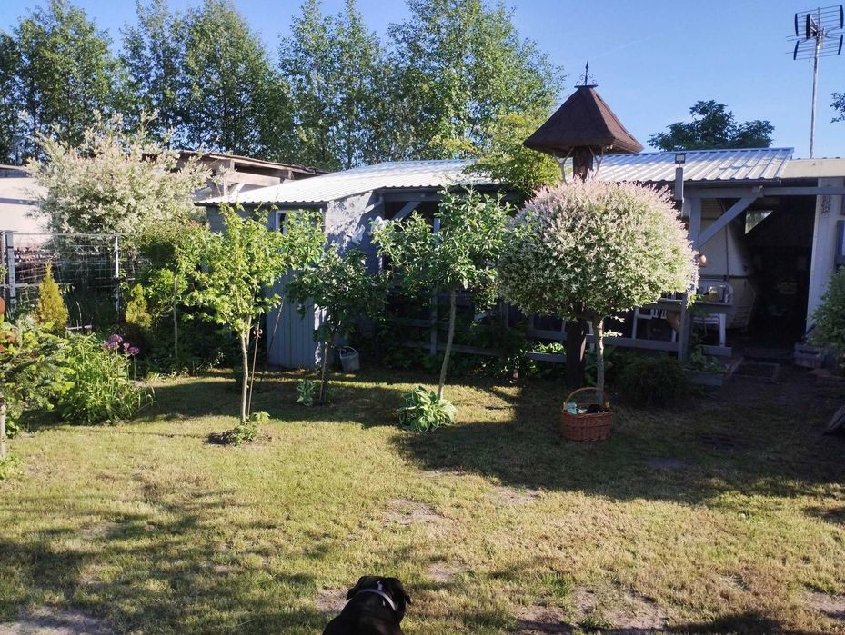Działka rekreacyjna nad jeziorem Kaliszańskim, Wągrowiec