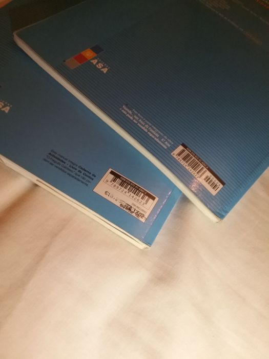 Manual+CAtiv -"Voando nas asas da fantasia" Português 6°ano