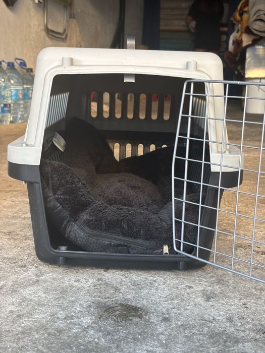 Transportadora de animais