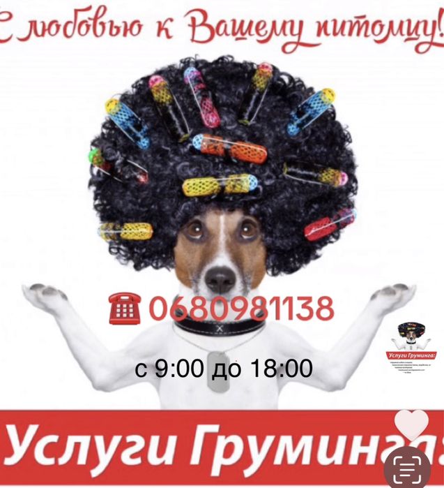 Стрижка собак. Выезд на дом.